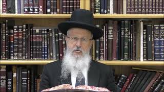 הגאון הרב אברהם יוסף שליט"א האם יהיה מותר לאבל תוך שבעה להסתפר בערב יום טוב (הערוץ של הרב אברהם יוסף) - התמונה מוצגת ישירות מתוך אתר האינטרנט יוטיוב. זכויות היוצרים בתמונה שייכות ליוצרה. קישור קרדיט למקור התוכן נמצא בתוך דף הסרטון