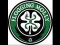Flogging Molly - Rebels of the Sacred Heart - Lyrics