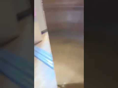 Schindler 330a Elevator at the dicks sporting goods in smith haven mall at lake grove ny