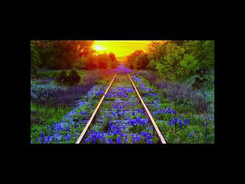 Audiolibro di Lise Bourbeau - Le 5 ferite e come guarirle. Rifiuto, abbandono...★ italiano completo