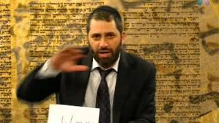 האות ל - הגרפולוג גלעד שמאע