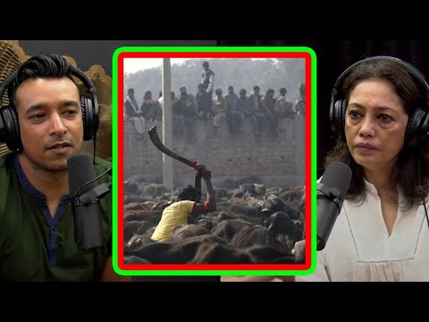 Pramada Shah Talks About The Heinous "Gadhimai Festival"