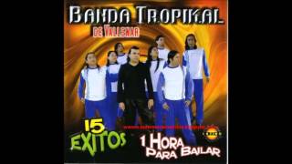 Banda Tropikal 15 Exitos