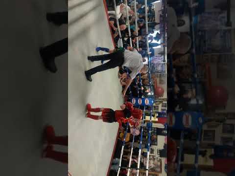 Russell barry waterford muay thai