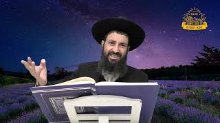 חידושים ופרפראות מרתקים על פרשת השבוע: הגאון הרב משה כהן שליט"א בשיעור לפרשת ויקהל - פקודי (מוסדות כיסא רחמים) - התמונה מוצגת ישירות מתוך אתר האינטרנט יוטיוב. זכויות היוצרים בתמונה שייכות ליוצרה. קישור קרדיט למקור התוכן נמצא בתוך דף הסרטון