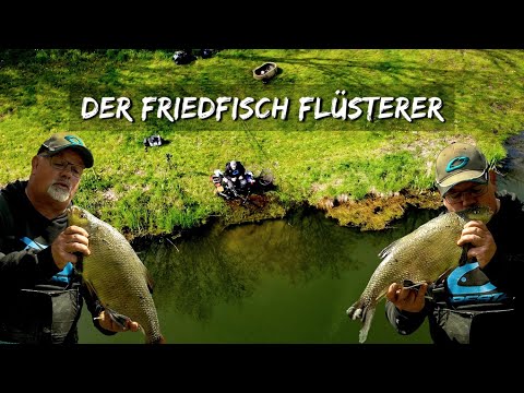 So angelst du ERFOLGREICH mit der Method Feeder | Karpfen- und Friedfischangeln