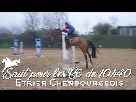 download lagu mp3 mp4 Horse Republic, download lagu Horse Republic gratis, unduh video klip Horse Republic
