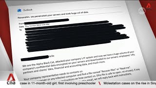 Leaked documents suggest 255 Singapore firms linked to critical infrastructure hit