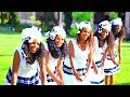 Feleke Maru - Hayloge | ሀይሎጌ - New Ethiopian Music 2017 (Official Video)