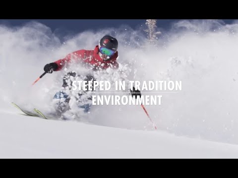 Steeped In Tradition Episode 7 - Environment
