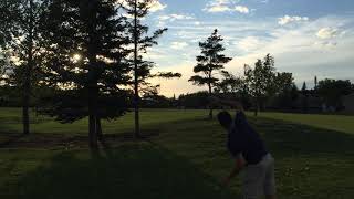 Ultimate Bocce in the Tree Roots