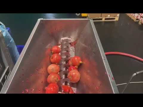 Полуавтоматическая линия для производства сока из граната до 1000 кг/час