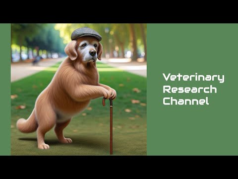 27. FGF4L2 Retrogene Association with Fibrocartilaginous Embolic Myelopathy in Dogs