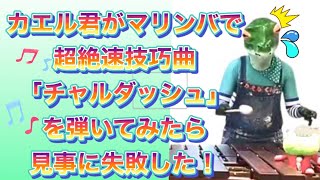 熱海の梅園池在住・マリンバ歴一年のカエル君がマリンバの速弾き超絶技巧曲モンティーの【チャルダーシュ】弾いてデビューしたら見事に失敗した！Csardas/monti played by frogman!