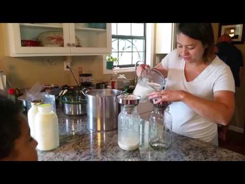 Tabitha filtering fresh milk from the cow her sons just milked!