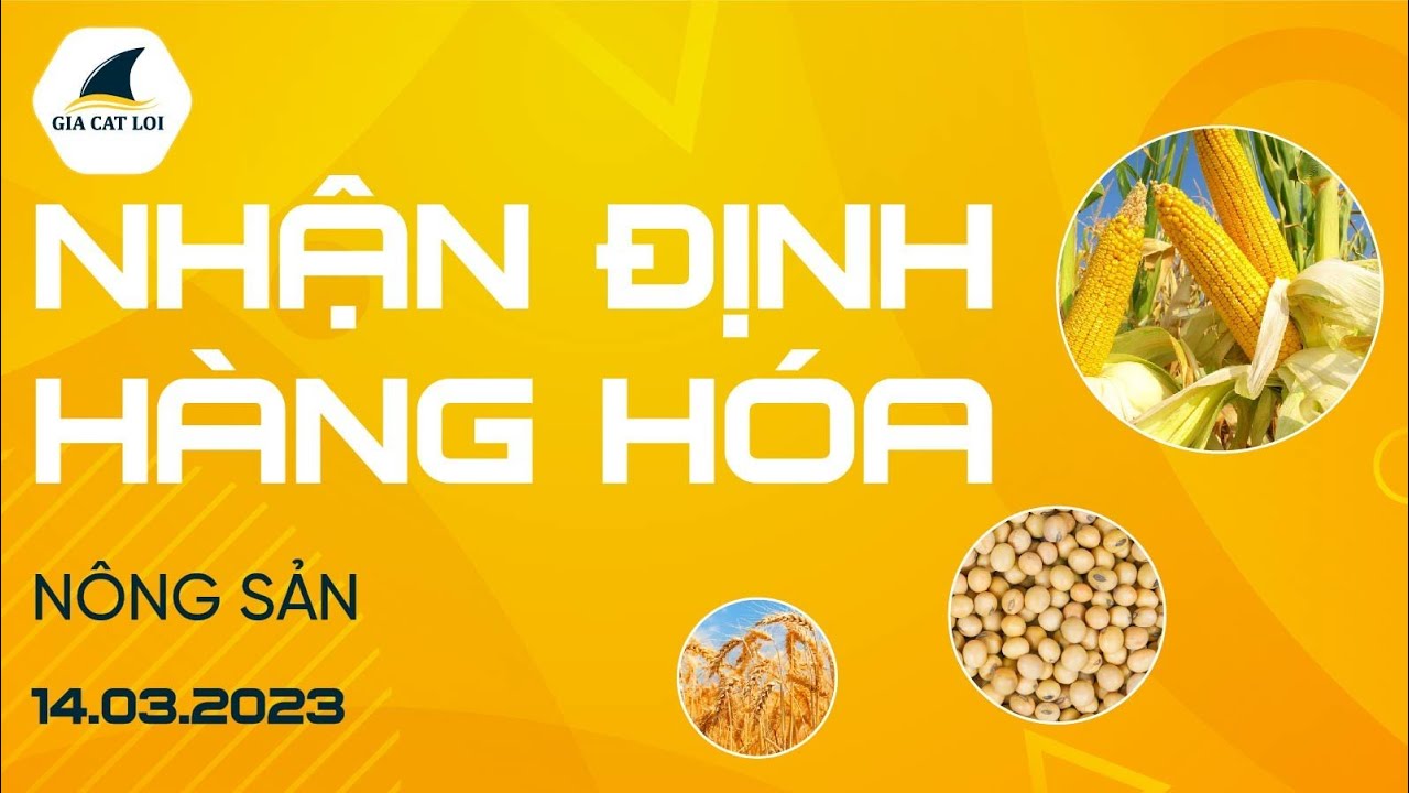 Nhận Định Hàng Hoá Nông Sản Ngày 14/03/2023