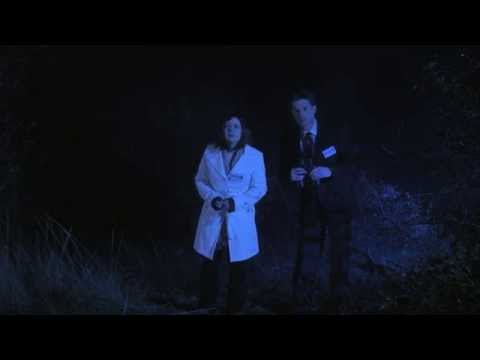 Rakehell 10 - Hardcore X file