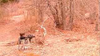preview picture of video 'Airsoft War- L96, M16, Ak-47 Woodland combat'