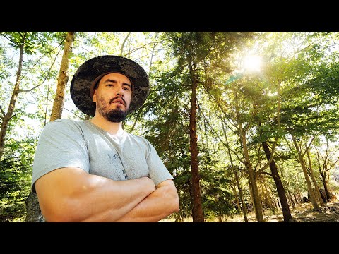 Building a Concrete Pond from a Mountain spring!