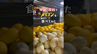 【激甘メロン】中国の屋台で香瓜を買ってみた! #中国屋台 #東莞 #中国鉄道大紀行