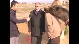 Awesome Vid  Horny camel.mp4