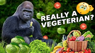 Do Silverback Gorillas Eat Meat