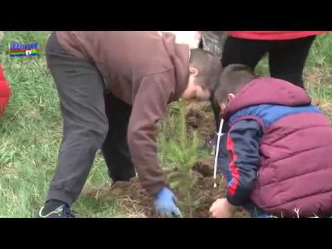 jurnal musceltv 17 04 2018 plantare pomi scoala 1   catalin oprei, simona voiculescu   ela ionascu