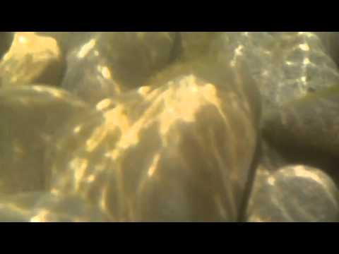 Bingo Su Geçirmez Cep Telefonu Kılıfı testi