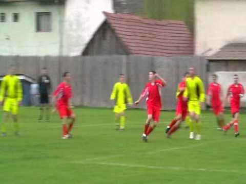 Foresta Nehoiu - Soimii Siriu ( Cozub marcheaza)