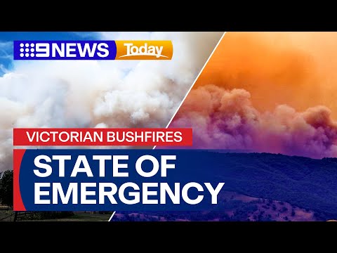 State of disaster declared in parts of Victoria | 9 News Australia