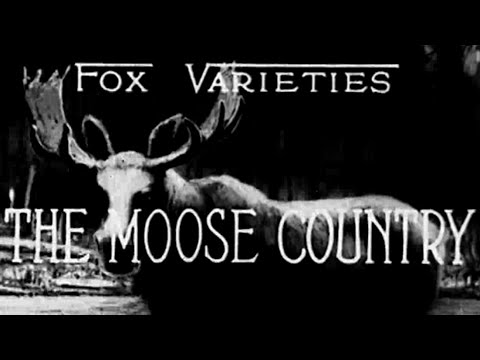The Moose Country