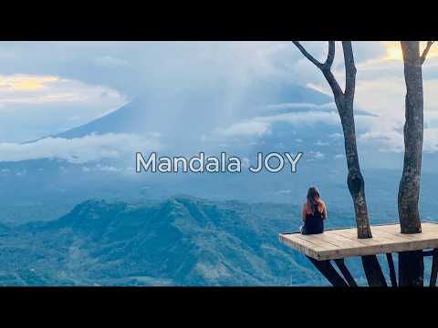 Mandala JOY roste. Buď u toho!