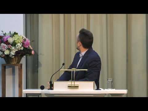 ...HASD Fakel.28.11.2020.г