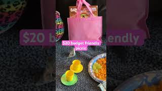 Budget friendly picnic for my toddler | Under $20 #budgetfriendly #savingmoney #momlife