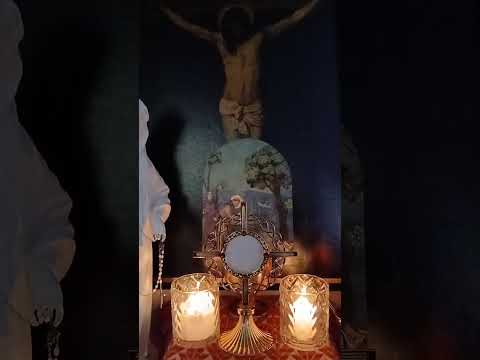 Adoracion Al Santisimo Sagramento del Altar con el Padre Fabian Esteban Oliva. 04/10/26