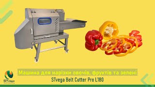 Купить овощерезательную машину Промислова овочерізка, нарізка капусти, салатів, кабачків, огірк - Изображение 10 | Machineryline KZ Новая овощерезательная машина Промислова овочерізка, нарізка капусти, салатів, кабачків, огірк | Изображение 10 - Machineryline