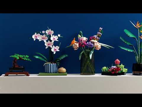 thumbnail video image 2 of Set LEGO Icons Orquídeas 10311, 2 of 5