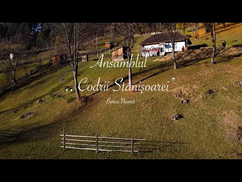 Ansamblul ,, Codrii Stânișoarei”