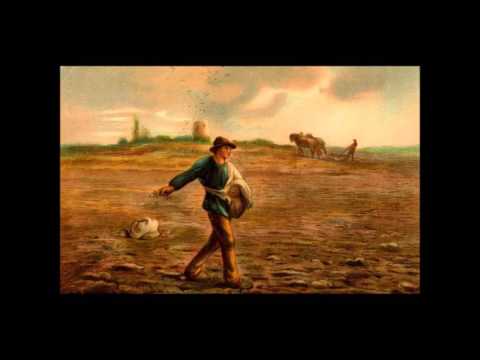 El Sembrador - Bendicion Vallenata