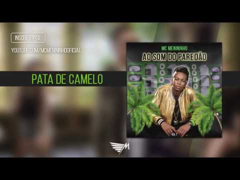 Mc Menininho - Pata de Camelo (Áudio Oficial) Prod. Menininho