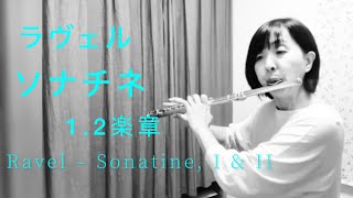 Download lagu ラヴェル：ソナチネ (フルートとピアノによる）第1・2楽章　Ravel: Sonatine, 1st & 2nd Movements – for Flute and Piano mp3