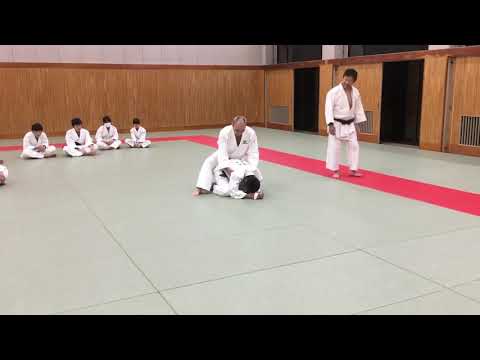 柔道Judo 寝技 亀の相手を後ろから攻め、抑え込む方法