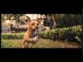 Beverly Hills Chihuahua Full Trailer 