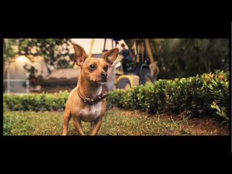 Beverly Hills Chihuahua (2008) Official Trailer
