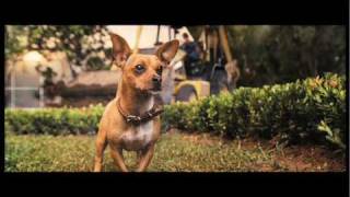 Beverly Hills Chihuahua (2008) Video