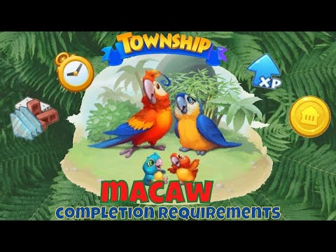 Township Zoo || Welcoming MACAW To My Zoo 🦜Unlocked & Info #35