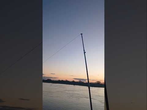 Camping y Pesca con amigos en Costa Grande-Entre Rios