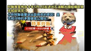 時事炒飯 - 阿聯酋宣佈自今年5月1日起退出石油輸出國組織歐佩克和歐佩克+分析阿聯酋要退出歐佩克的原?