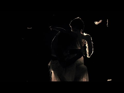 Şehinşah & Archie | DAADOH