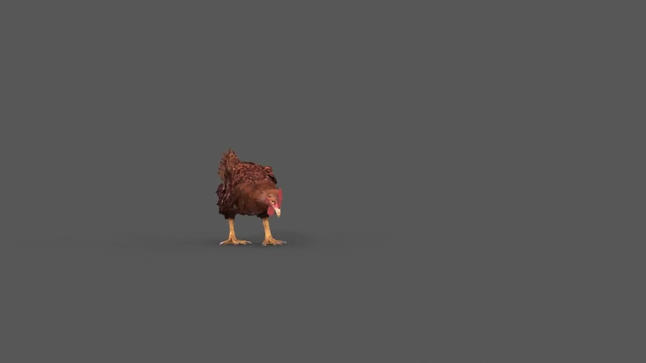 Top Chicken - 8k - 3d animated 3D Model